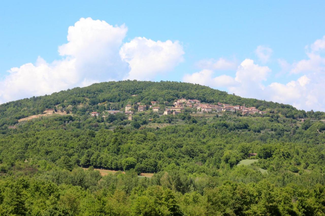 Agriturismo La Via Dell'Oliviera Ciciano المظهر الخارجي الصورة