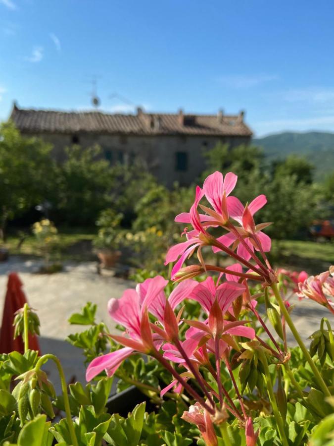 Agriturismo La Via Dell'Oliviera Ciciano المظهر الخارجي الصورة
